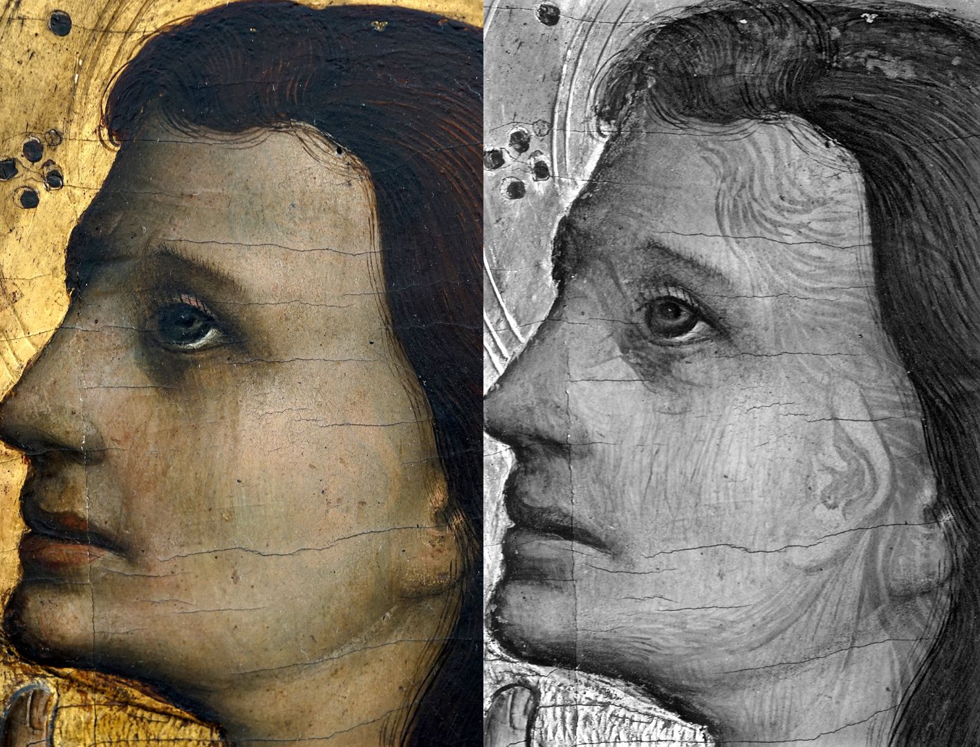 Tucheraltar Mitteltafel, Kopf des Johannes, durch Infrarotreflektographie ersichtliche Vorzeichnung