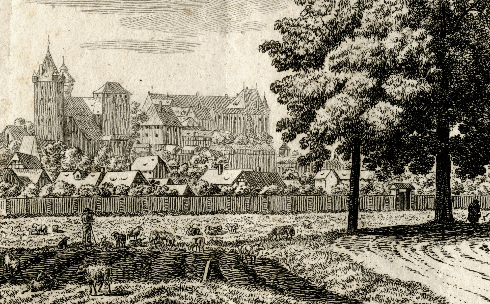 The castle in Nuremberg, seen from Judenbühl Central section of the picture with castle