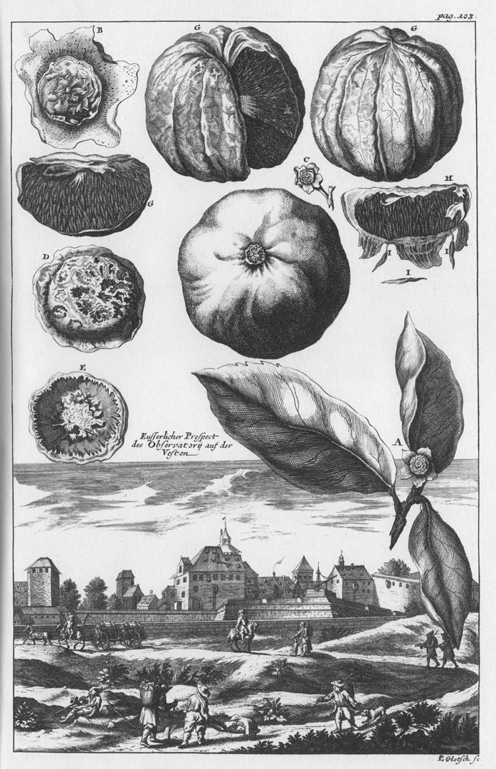 View of the observatory of the fortress 