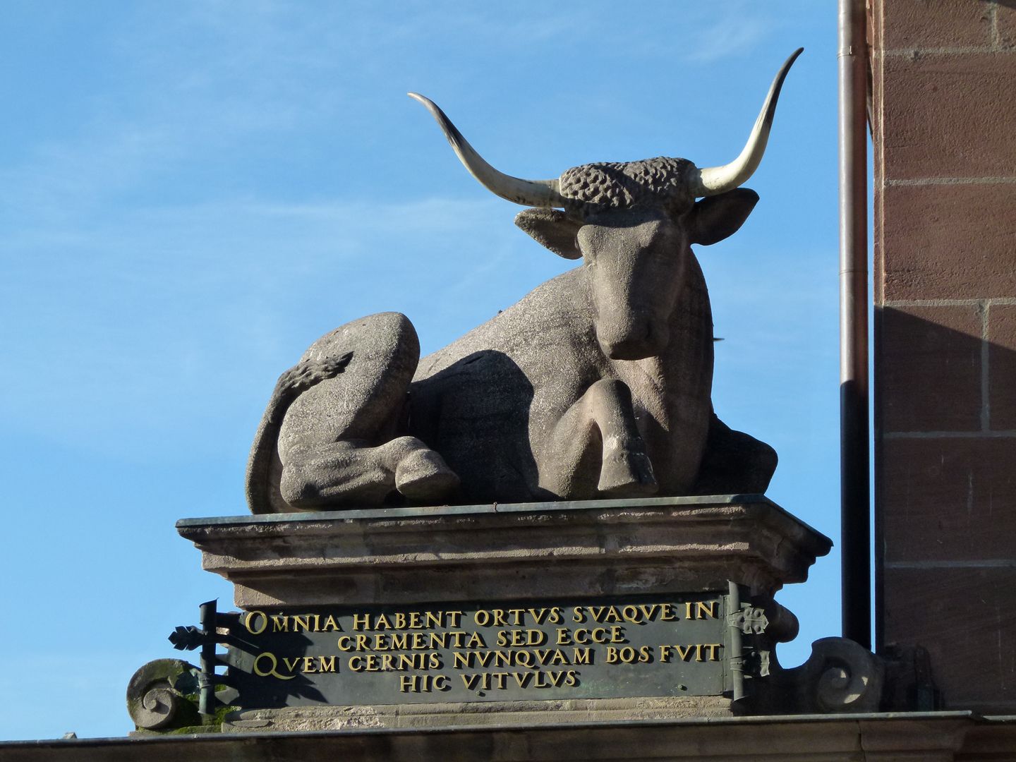 Portal mit Ochsen auf der Fleischbrücke Ochs mit Inschrift (aus dem Latein: Alles hat seinen Ursprung und Anfang, doch siehe der Ochse, den du hier erblickst, ist nie ein Kalb gewesen.)