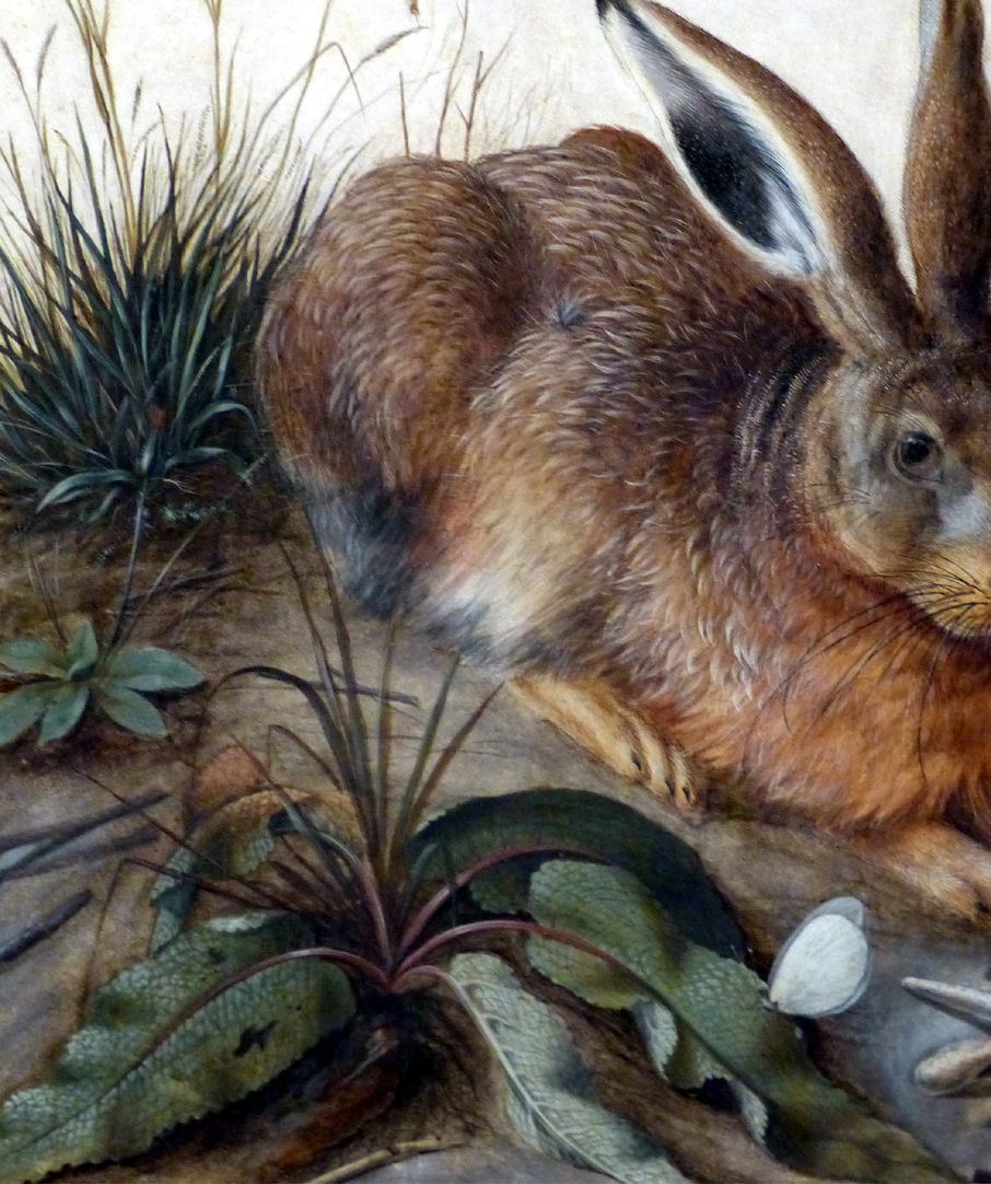 The hare (Rome) Detail