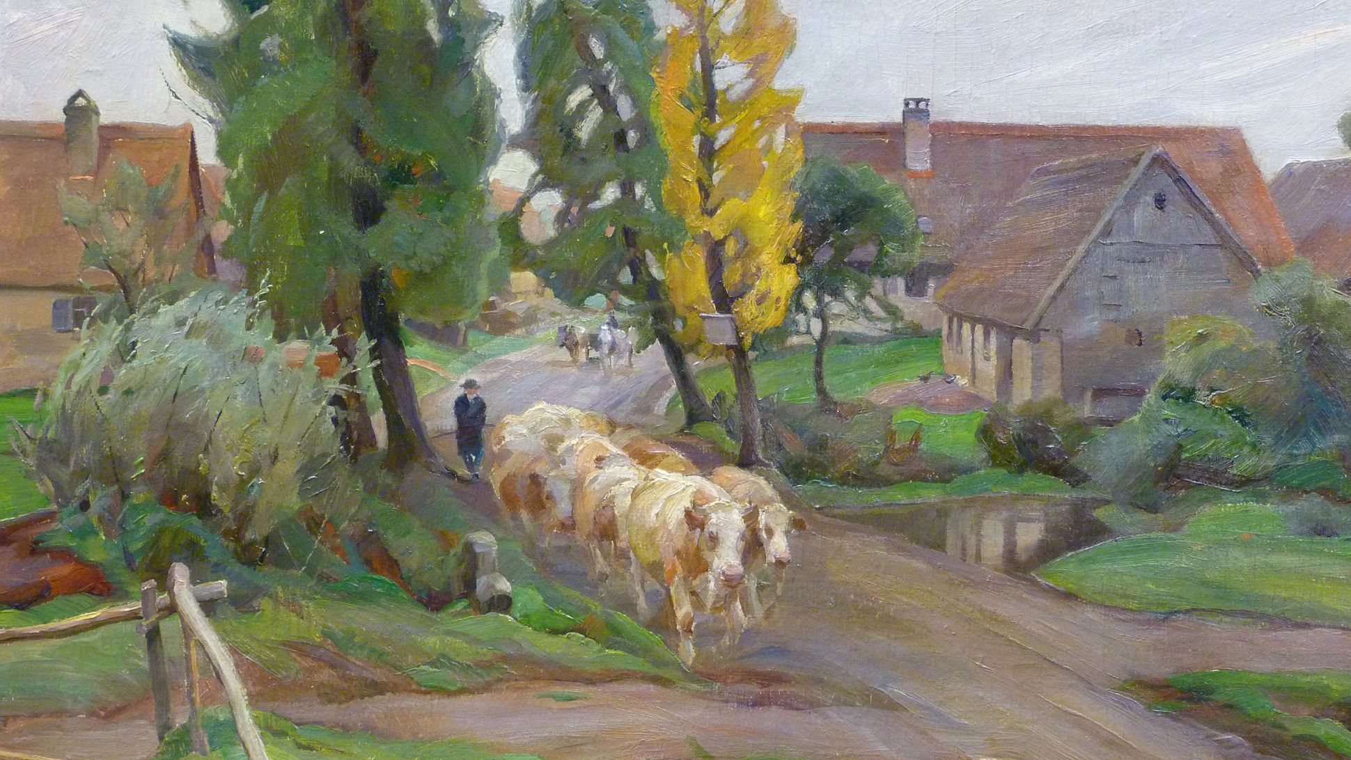 Cows in a village street Centre of the picture