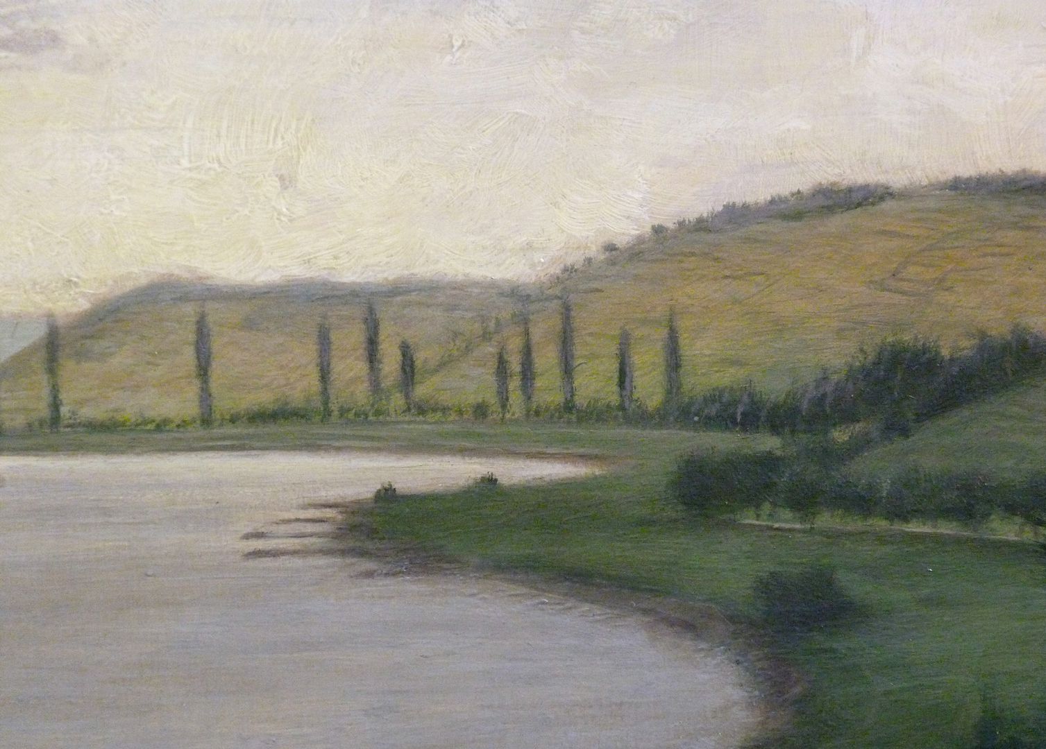 Main landscape Detail, riverbank of the Main