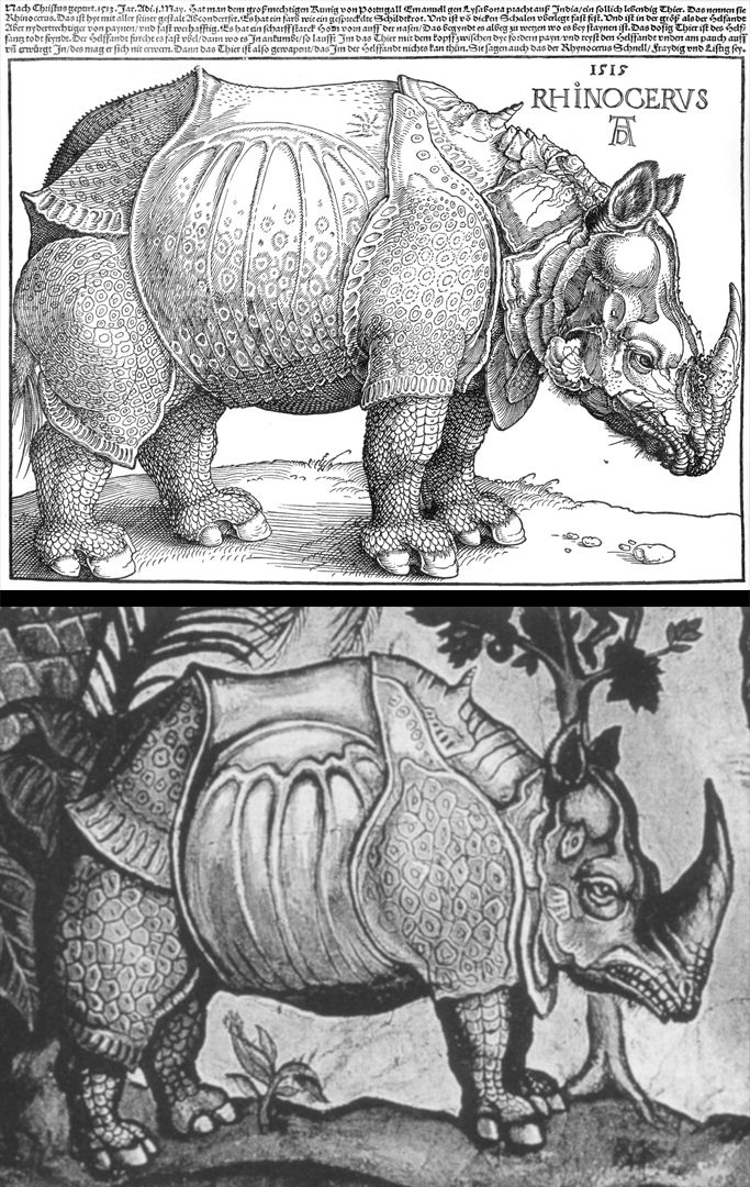 Rhinoceros Comparison of the woodcut with the painting on the ceiling of the house of Don Juan de Vargas Matajudios in Tunja, Columbia
