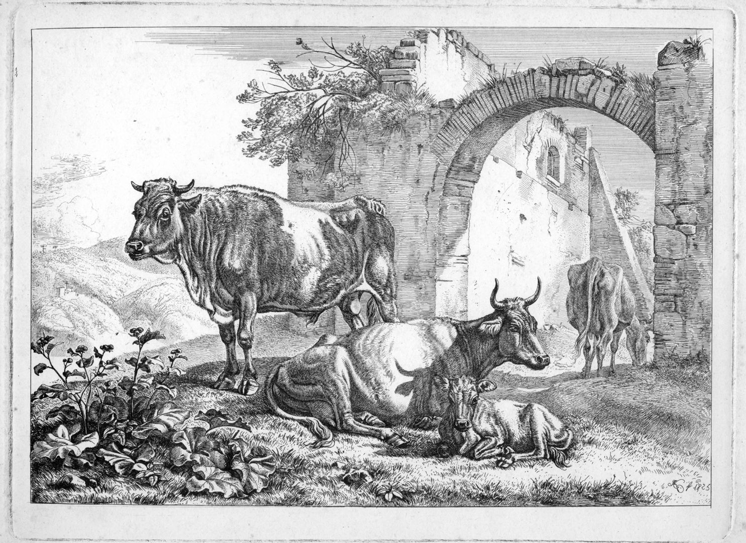 Cattle near ruins General view
