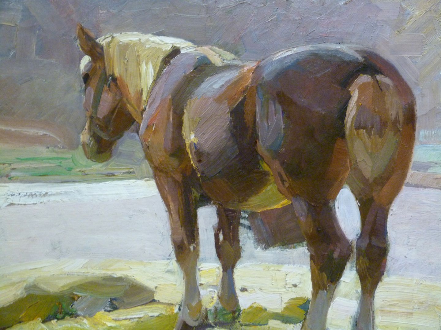 Resting horse Detail view