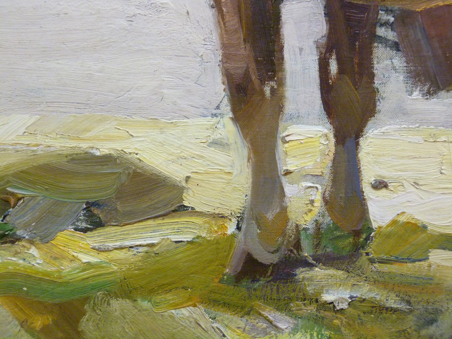 Resting horse Detail view of the forelegs