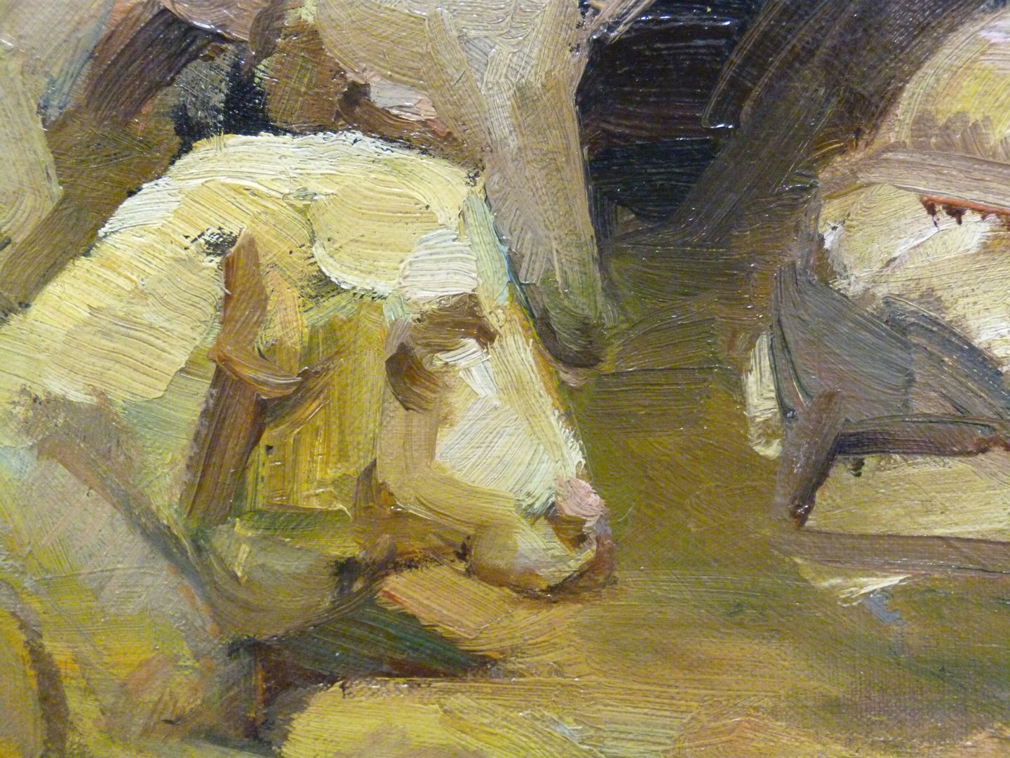 Sheep Detail view with shepp´s head