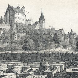 The Nuremberg castle